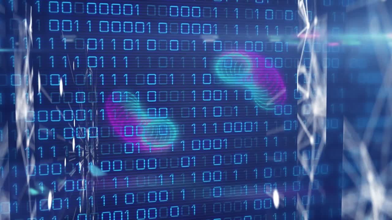 Animation of network of connections and binary coding data processing