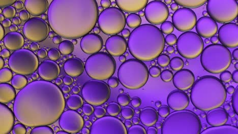 colorful artistic of oil drop floating on the water.