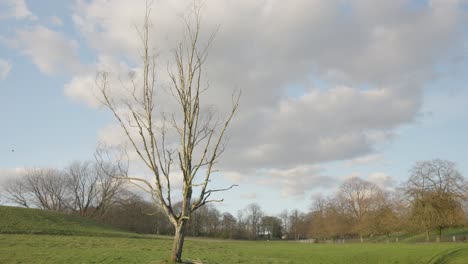A scenic day in the park, in the middle of a city
