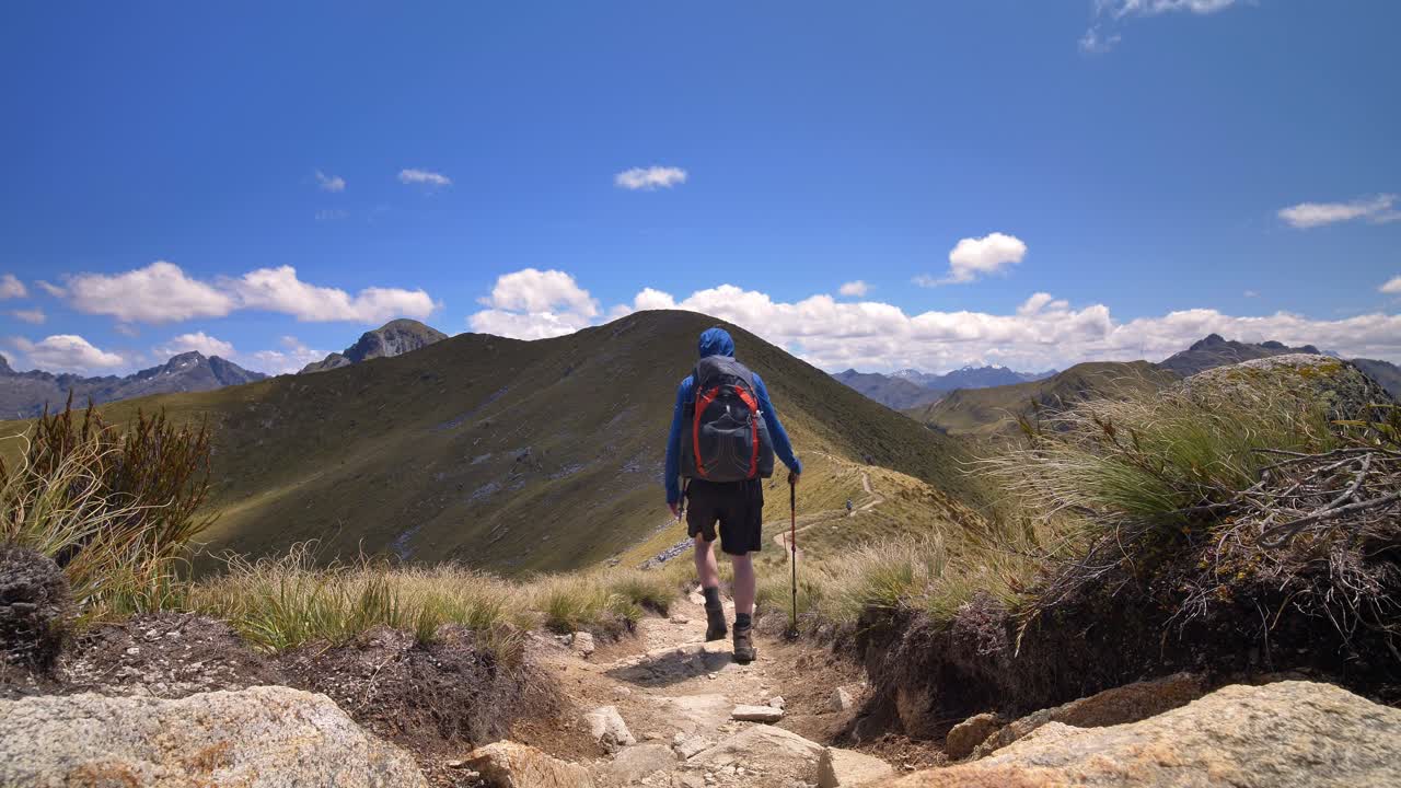 ángulo bajo estático, excursionista camina por la cresta alpina expuesta, fiordland, kepler track nueva zelanda