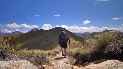 static low angle, hiker walks exposed alpine ridge, fiordland, kepler track new zealand