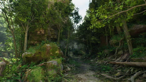jungle path