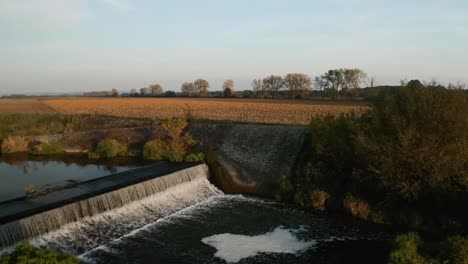 Luftaufnahme-Von-Kürbissen-In-Einem-Feld