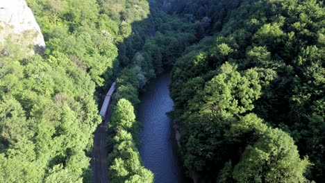 train driving through a forest next to a river, top drone view