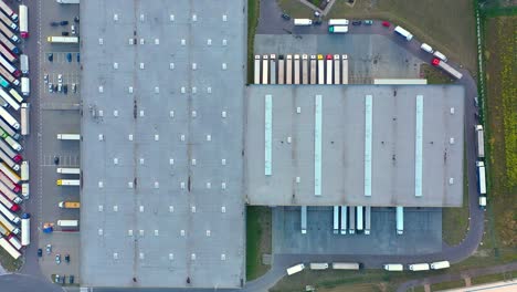 semi truck with cargo trailer is travelling on a parking lot along a warehouse of a logistics park