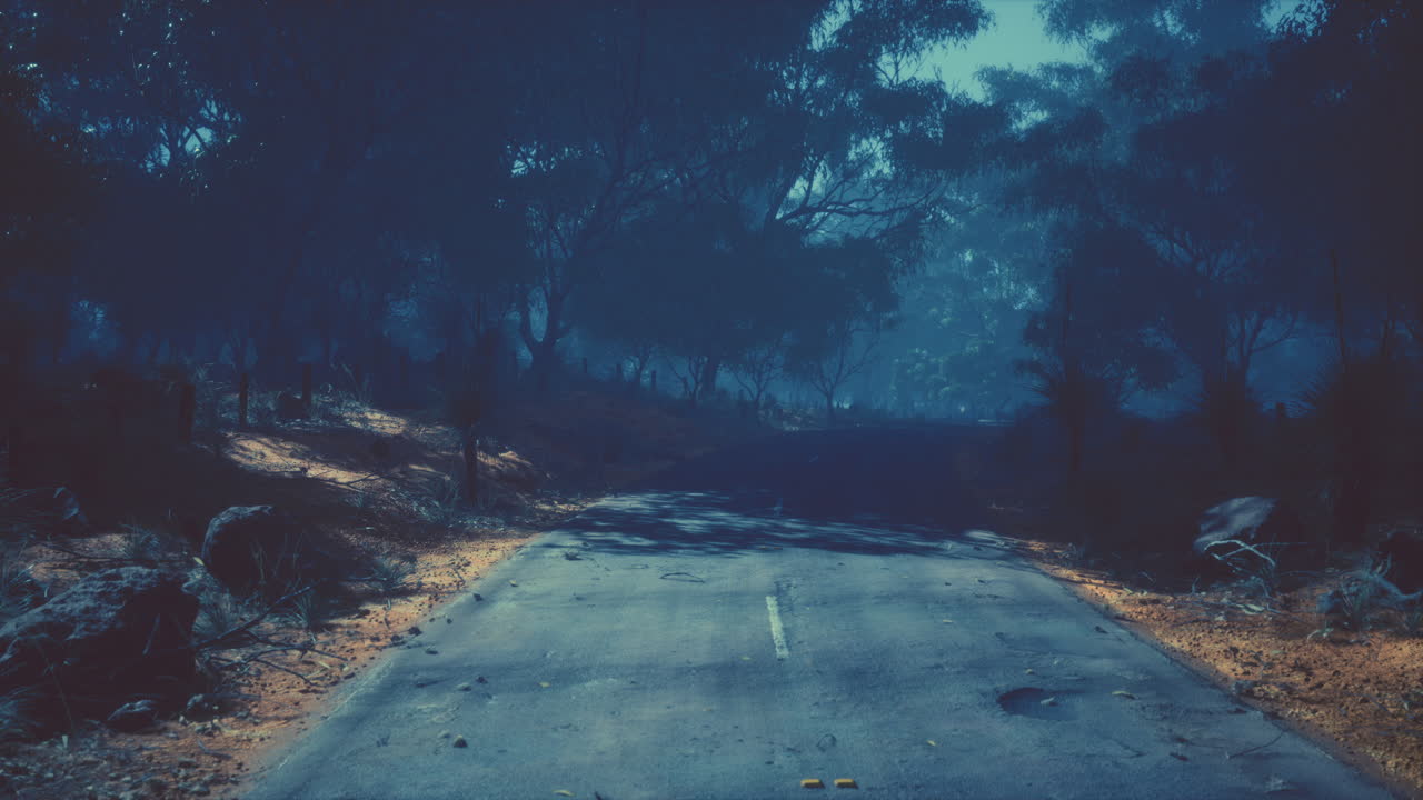 높은 숲을 따라 가는 직선 경로 표시