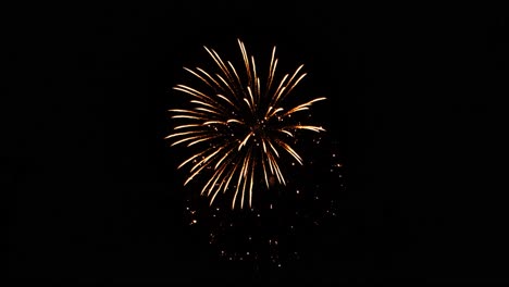 solo white fireworks streamer pierces the night sky followed by the opening large aerial displays of fireworks in the night sky on july 4th in wisconsin