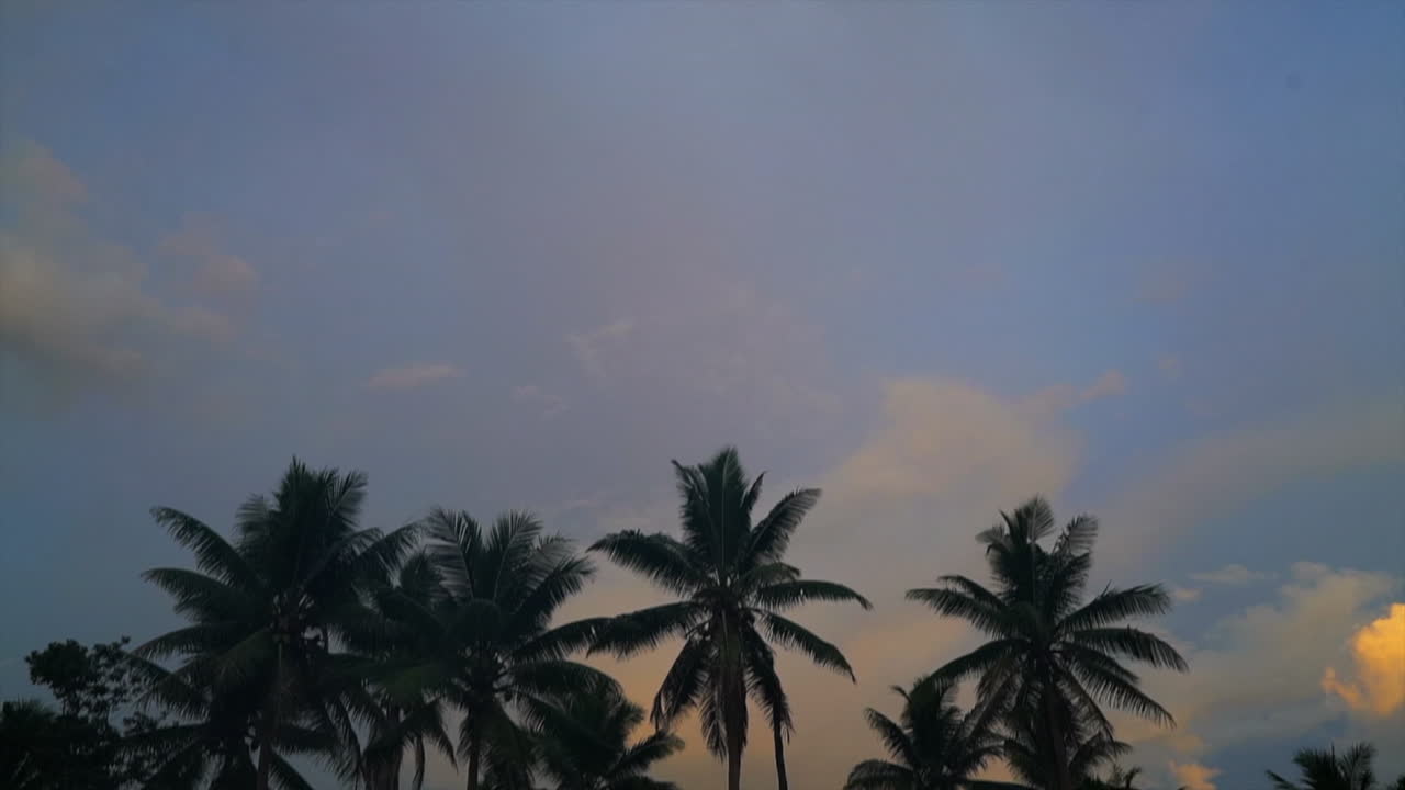 turismo fiji escena de apertura pan abajo revelar amanecer puesta de sol palmeras tropicales isla balneario oceania suva nadi taveuni jardín coral costa nubes árbol de coco impresionante vacaciones vacaciones paisaje de la naturaleza