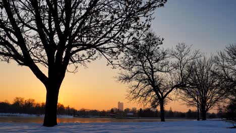 time lapse of people passing by in the city park, denver, colorado