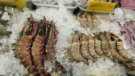 fresh seafood on ice at a market