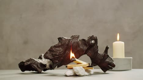 person holding palo santo wood stick in hand, aromatic palo santo burning on black background, smoke spreading around, slow motion video clip, high quality 4k close up footage. high quality 4k footage