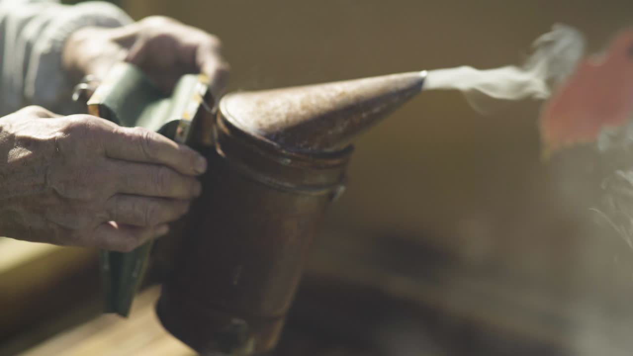 Beekeeper holding bee smoker
