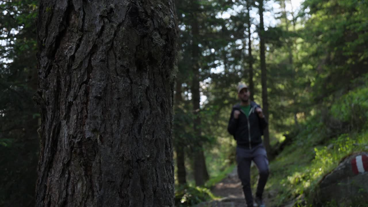 A Man With Backpack Trekking In Forest Trails During Summer