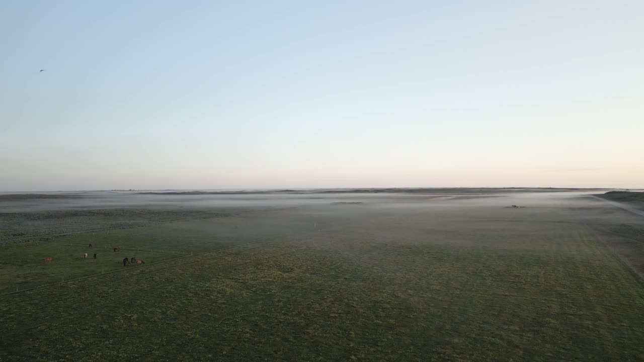 서 아이슬란드의 조용한 일출을 통해 말 농장 초원을  ⁇ 고 있는 안개