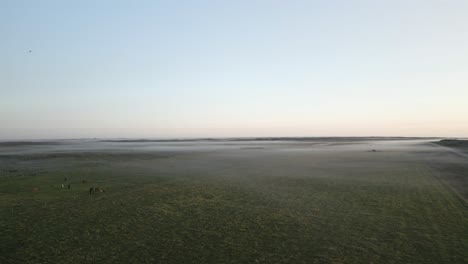 Nebliger-Nebel-Bedeckt-Eine-Pferdefarmwiese-Bei-Einem-Ruhigen-Sonnenaufgang-In-Westisland