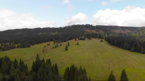 Luftaufnahme-Nach-Oben-über-Einer-Weiten,-Offenen-Wiese-In-Dichtem-Waldgebiet-Mit-Bergen-Im-Hintergrund-An-Einem-Hellen-Und-Sonnigen-Tag