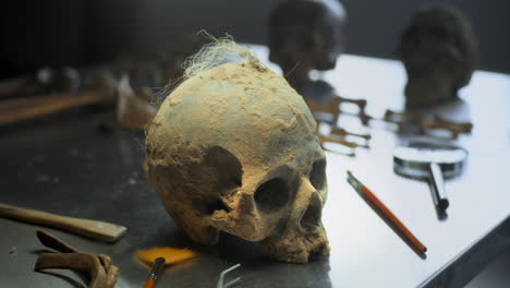 ancient skull in a laboratory