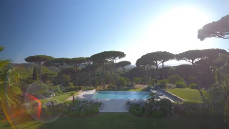 dolly forward shot of luxury swimming pool and pine trees in garden during sunlight