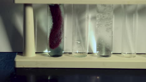 clear solution of silver nitrate added to a test tube on a rack containing another rack that has a completed single displacement reaction