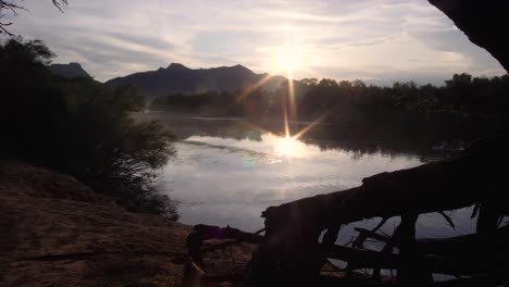 mesquite tree silhouetted over the salt river reflecting the sun