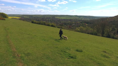 Luftaufnahme-Eines-Reifen-Mannes-Mit-Hund-Auf-Einem-Spaziergang-Auf-Dem-Land