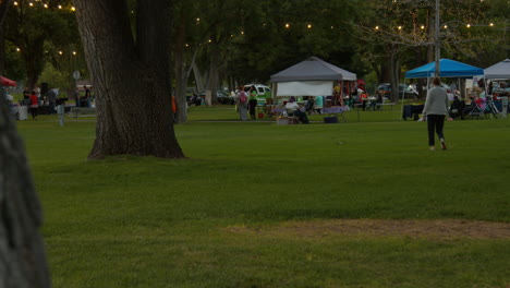 a wide shot of a local business fair and farmers market  in the small city park in the evenings.