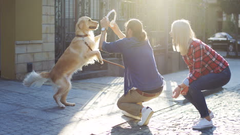 Junges-Glückliches-Paar,-Das-Mit-Einem-Labrador-hund-Spielt-Und-Ihn-Trainiert,-An-Einem-Sonnigen-Tag-Zu-Springen