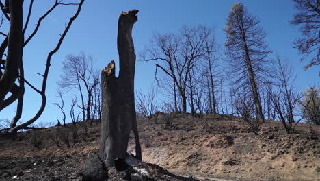 las secuelas del incendio del valle, 2015, condado de lake, california