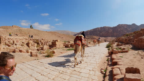 nomadic traveler leads camels along thick cobblestone path as tourists follow