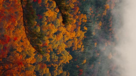 vertical view of fall peak foliage around new hampshire, usa