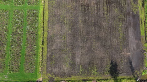 top-down aerial view of partially harvested agricultural fields with cultivated soil and surrounding vegetation.
