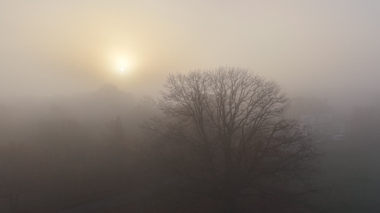 Misty morning ascending drone,aerial High beach Epping forest