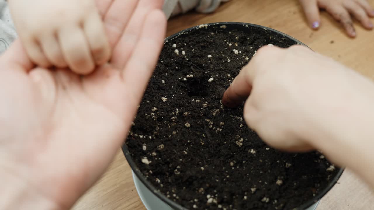 Close up adult and toddlers hands planting seeds in a pot with rich soil