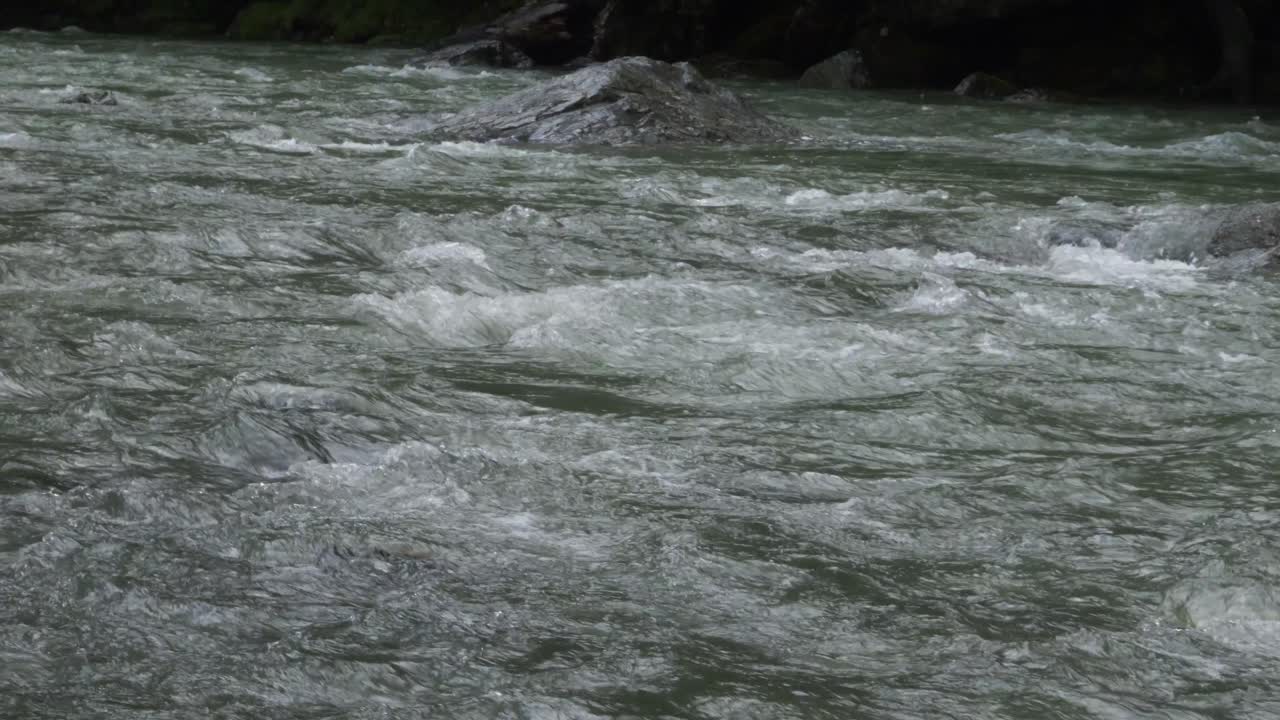 Mountain River Flowing, Roaring Billy Falls, Haast, New Zealand - Wide Shot