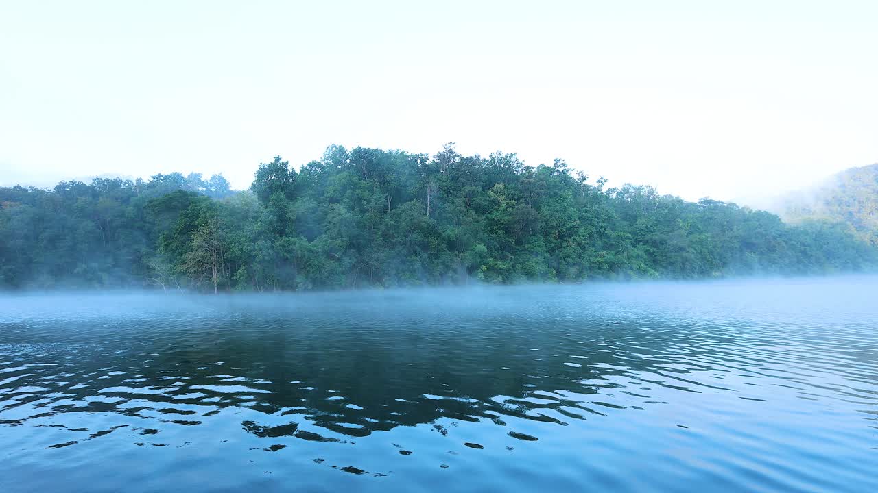 안개 와 숲 을 배경 으로 한 평온 한 강
