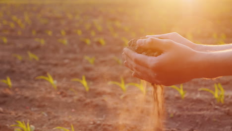 Hands-Of-The-Farmer's-Man-Holding-The-Ground-Touching-Her-Fingers-Against-The-Background-Of-A-Field-