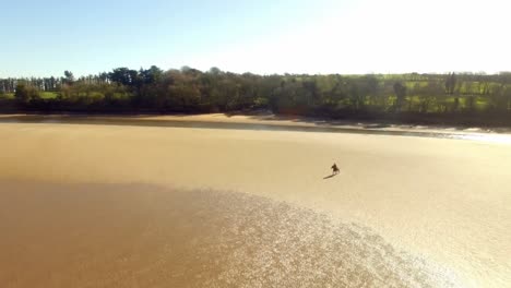 woman riding horse on a beach