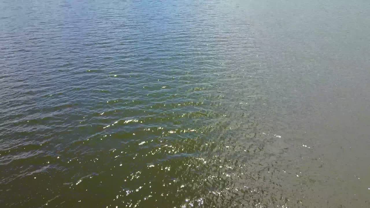 콜롬비아 의 델 누사 호수 에 있는 녹색 풀 과 주차 된 자동차 들 이 있는 호수 해안