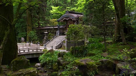 incredible slow motion push in toward hidden asian temple in deep forest