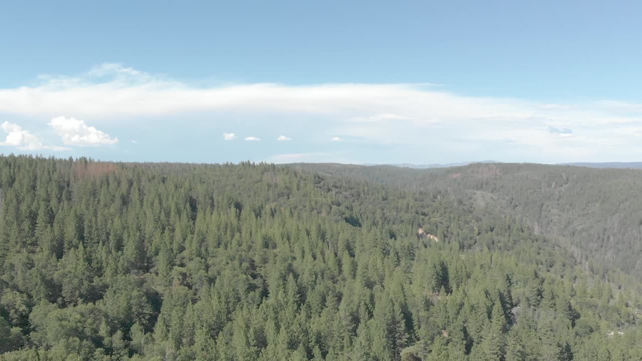 A breathtaking view of towering trees and distant mountains in Foresthill, California, offering a serene escape into nature's beauty and tranquility.