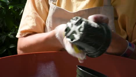 scrub down cleaning of flower pot with soap and water close up