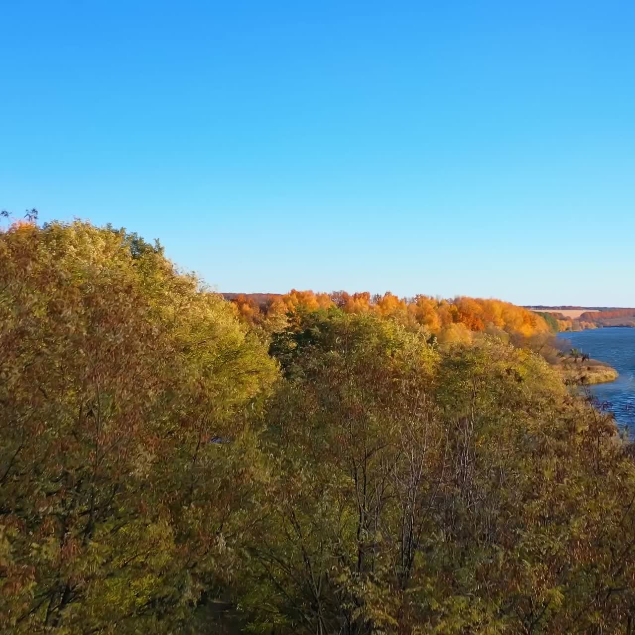 Aerial view over forest in autumn