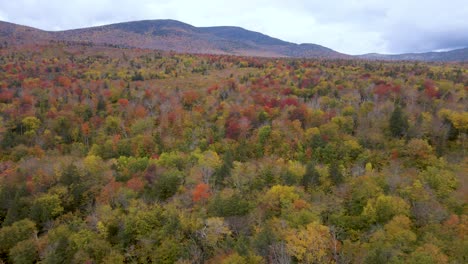 Colorful-Leaves-on-Trees-in-Beautiful-Fall-Landscape-in-New-England,-USA---Aerial-Drone-Establishing-View