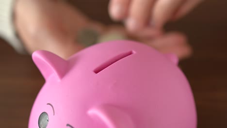 saving coins in a piggy bank. close-up