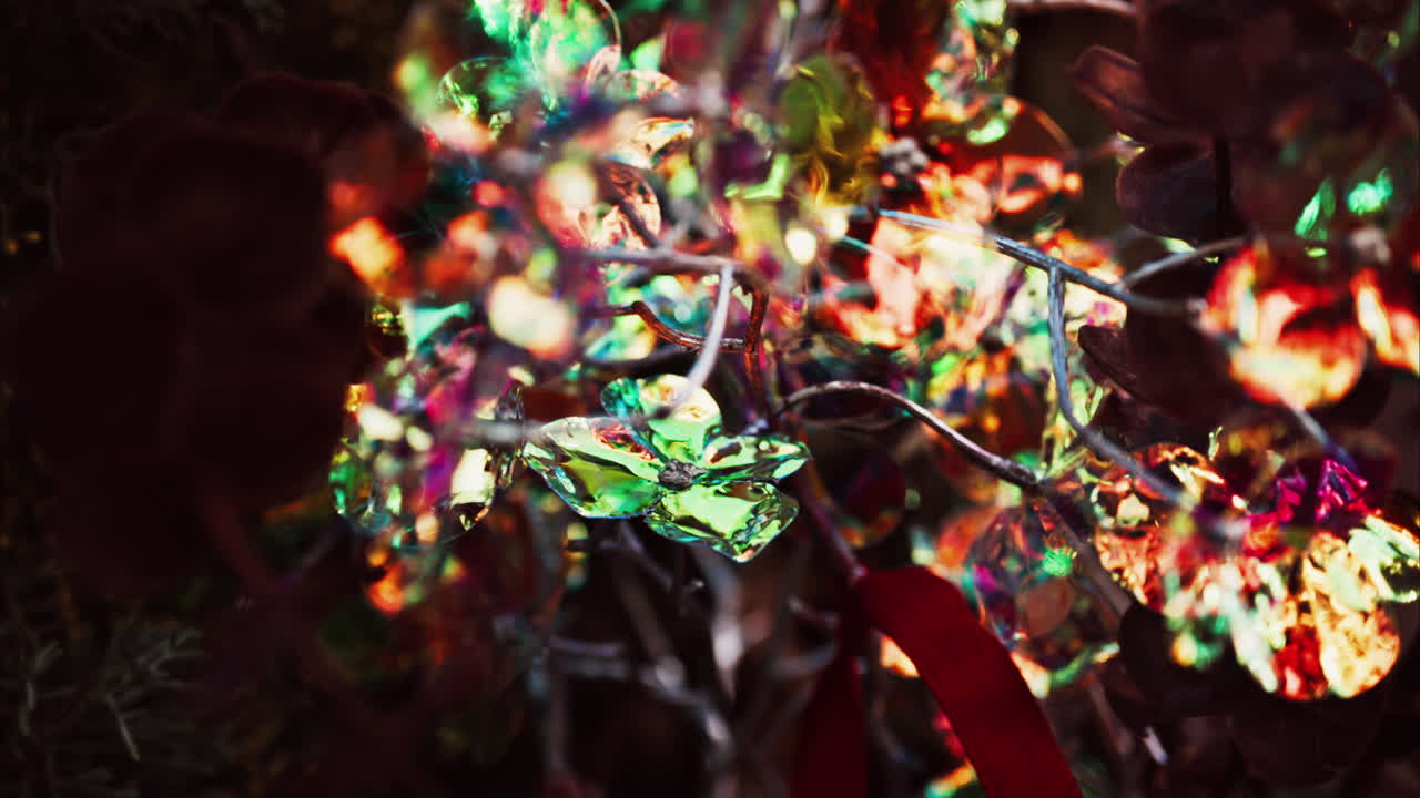 Close up of colourful Christmas lights in the shape of flowers on a tree