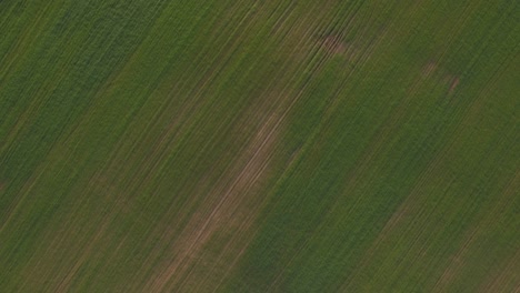 Vista-Aérea-Del-Campo-Verde