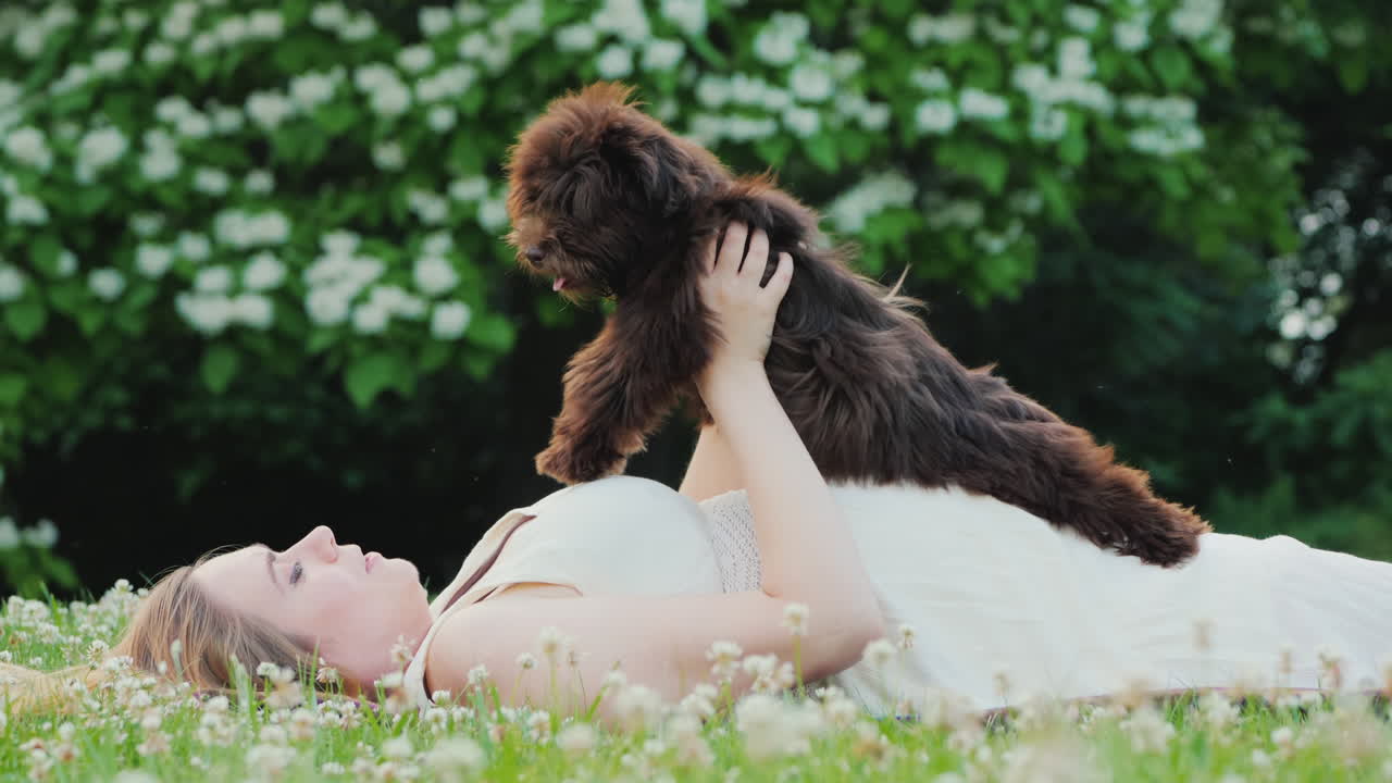 활동적인 임산부가 잔디밭에 누워 있는 집 뒷마당에서 개와 놀고 있다