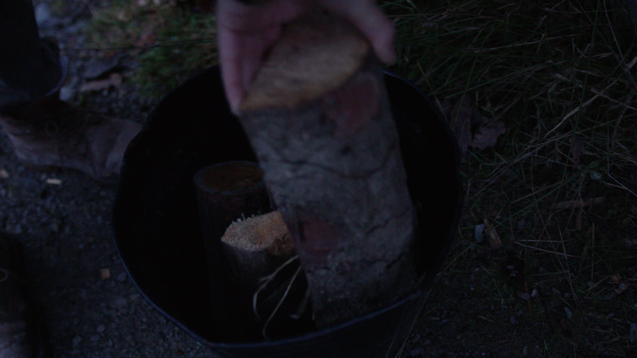 Collecting firewood in dusk time of day
