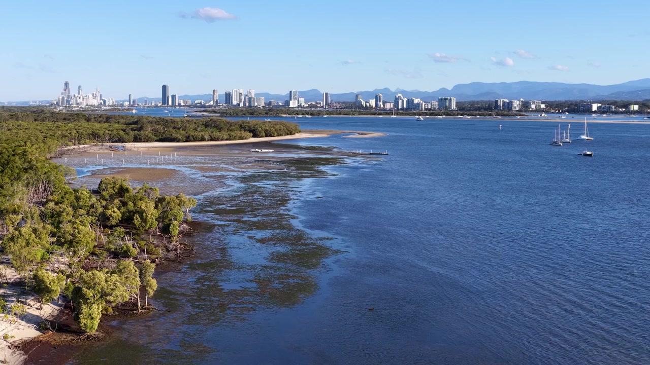 Ripresa con drone rivela mangrovie e praterie di posidonia lungo l'isola di South Stradbroke, Queensland, Australia