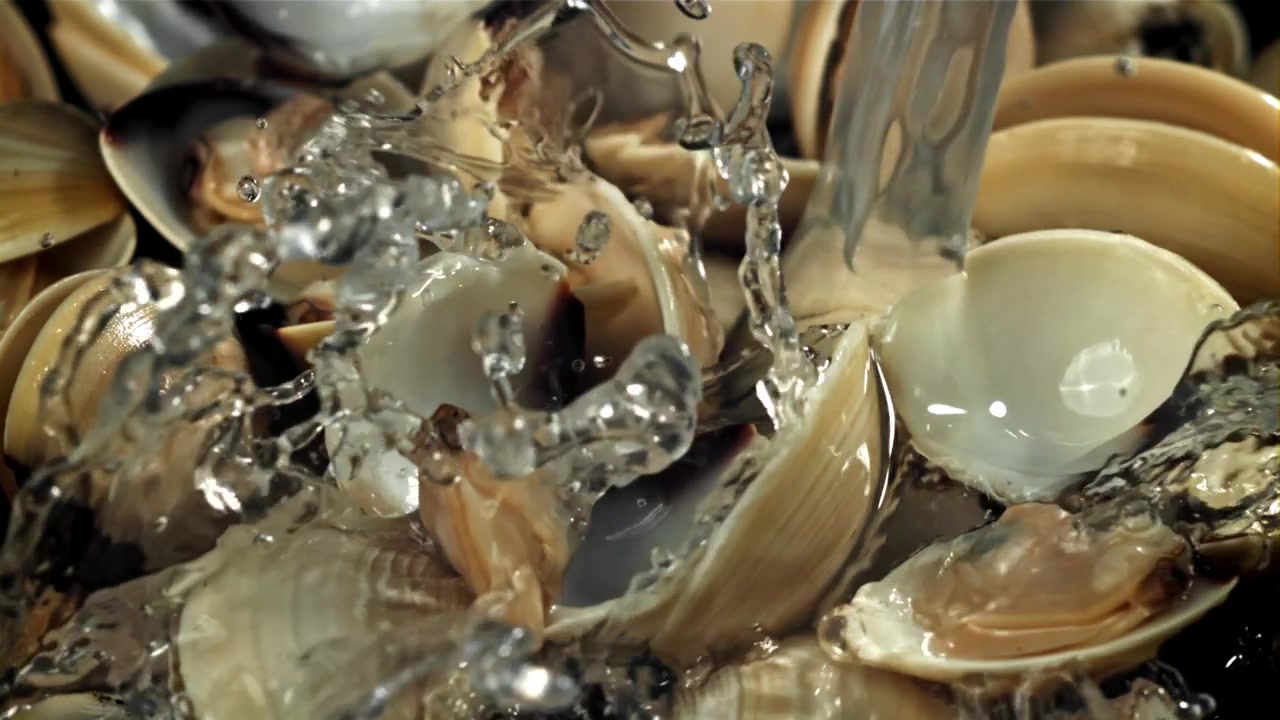 Water Poured Over Fresh Clams in Slow Motion